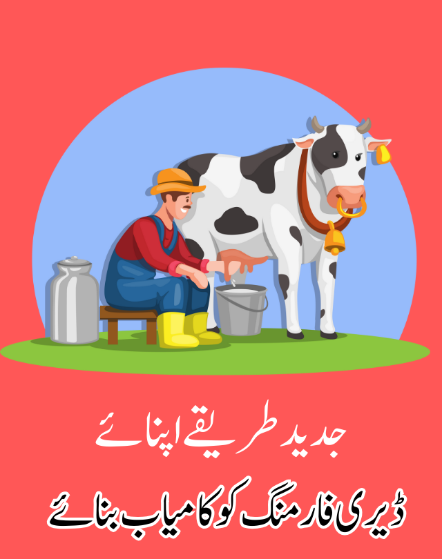 Dairy farming in Pakistan