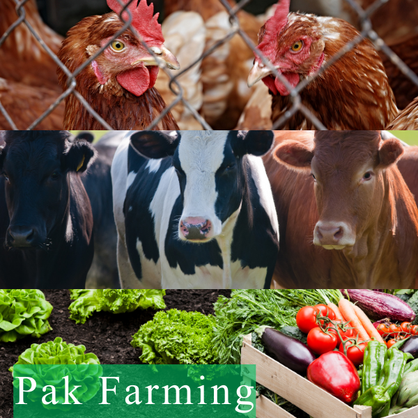 pak farming