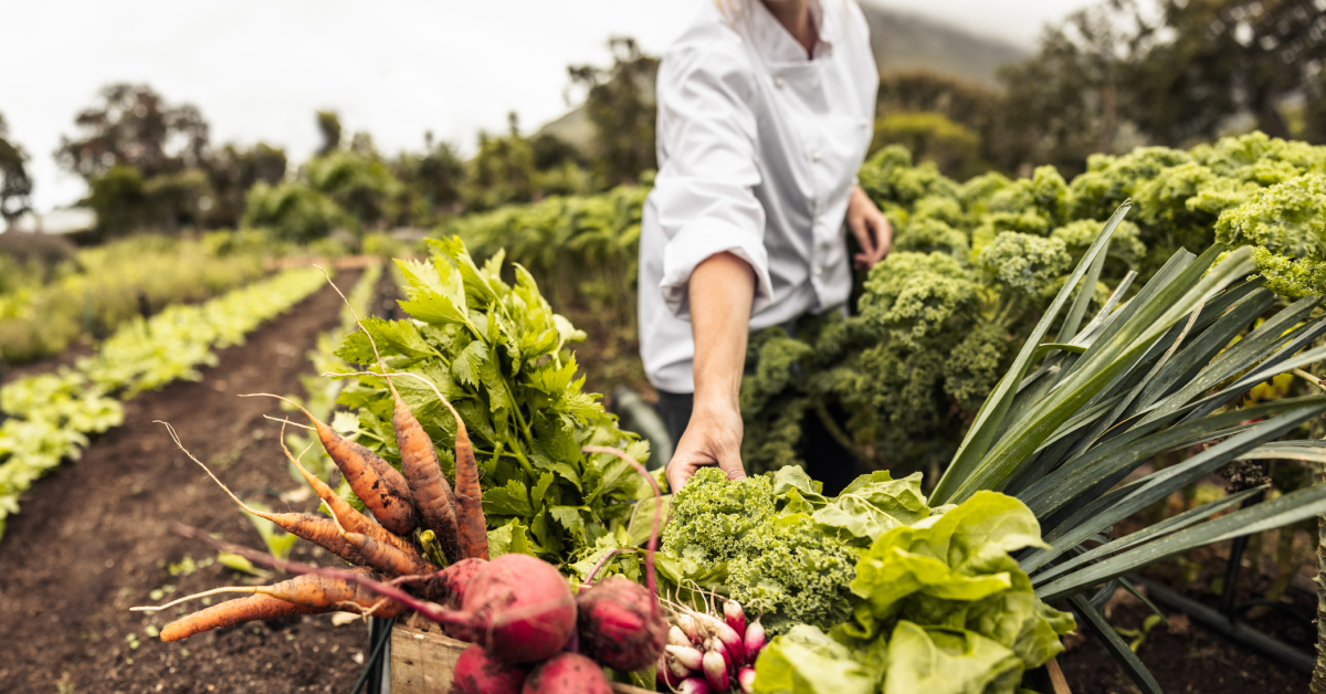 10-most-profitable-crops-for-small-farms-pakfarming